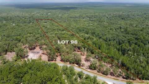 Vacant Land For Sale - 15433 Bullock Bluff Road<br/> Bryceville, FL 32009