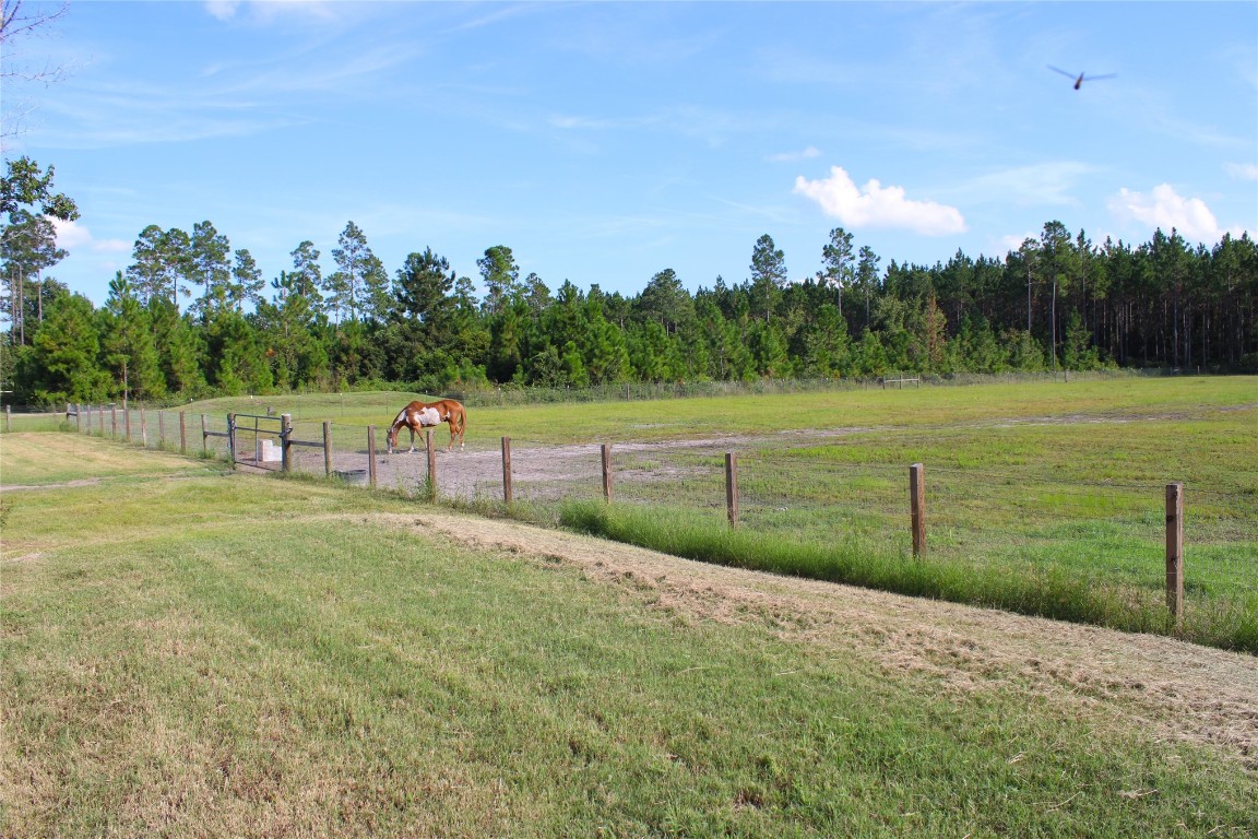 17667 Andrews Road, Hilliard, Florida image 35