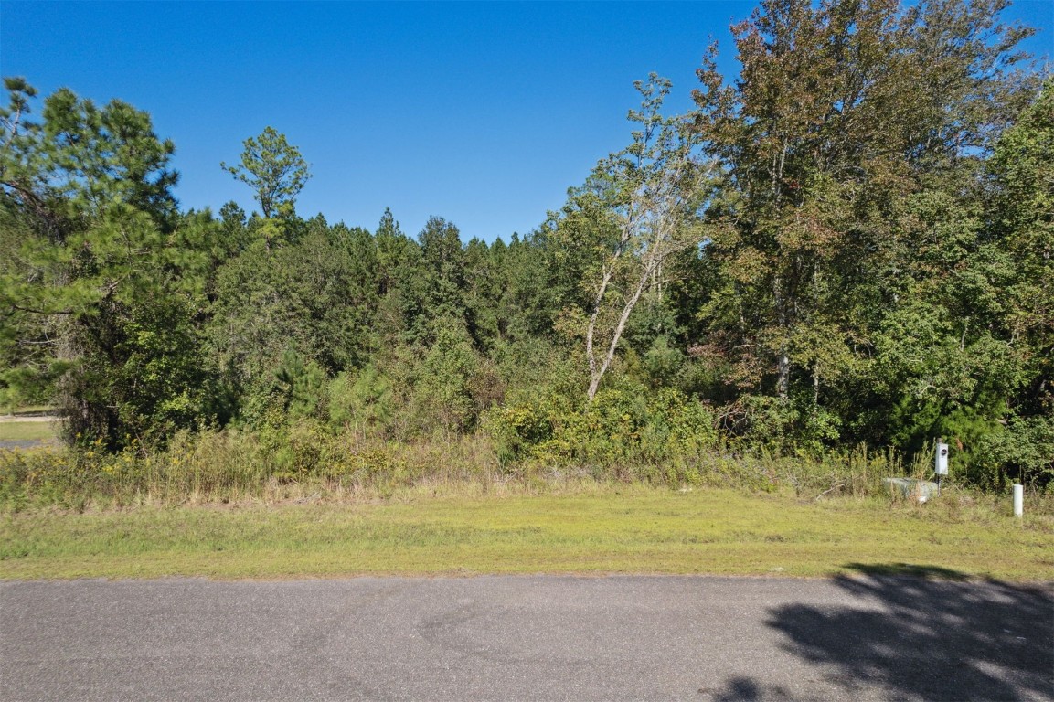 66272 Rocking Horse Lane, Callahan, Florida image 7