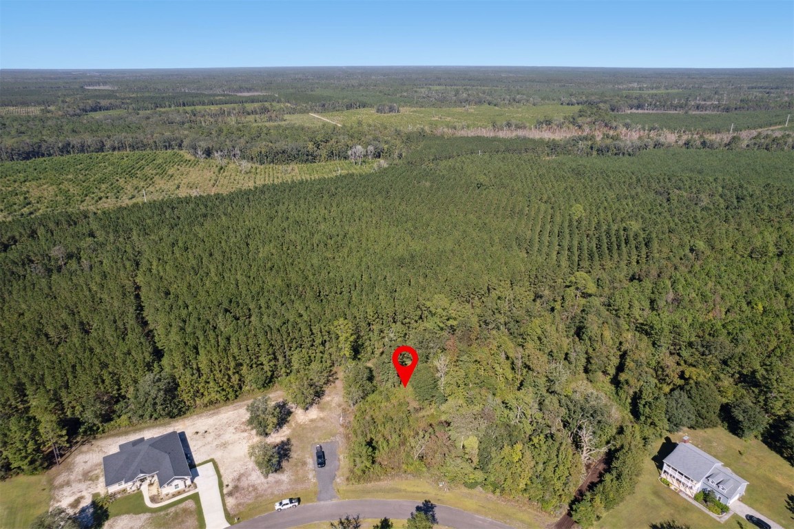 66272 Rocking Horse Lane, Callahan, Florida image 3