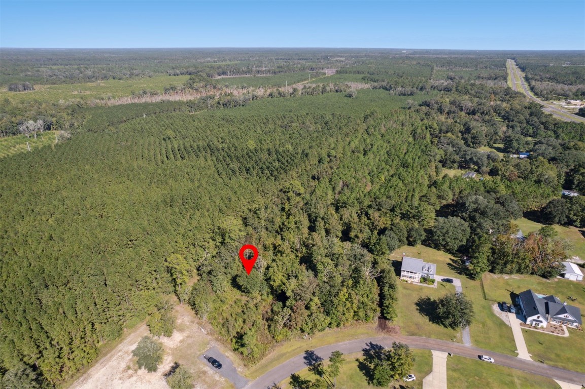 66272 Rocking Horse Lane, Callahan, Florida image 1