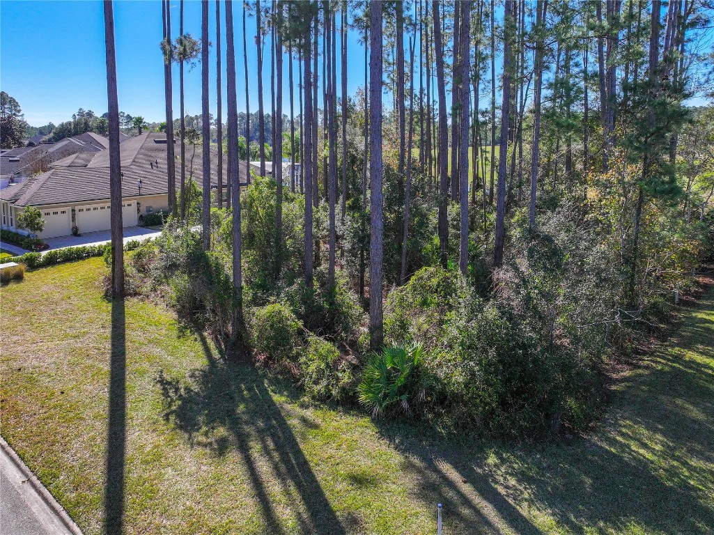 85107 Napeague Drive, Fernandina Beach, Florida image 4