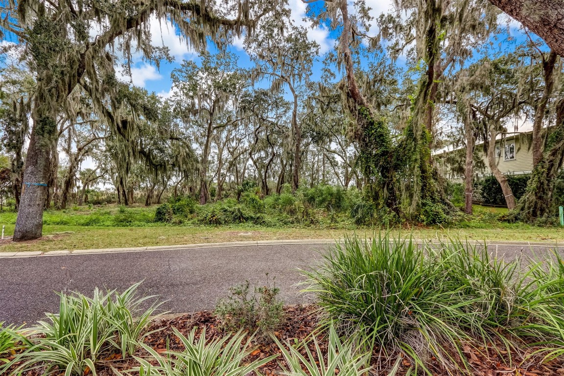 96588 Soap Creek Drive, Fernandina Beach, Florida image 22