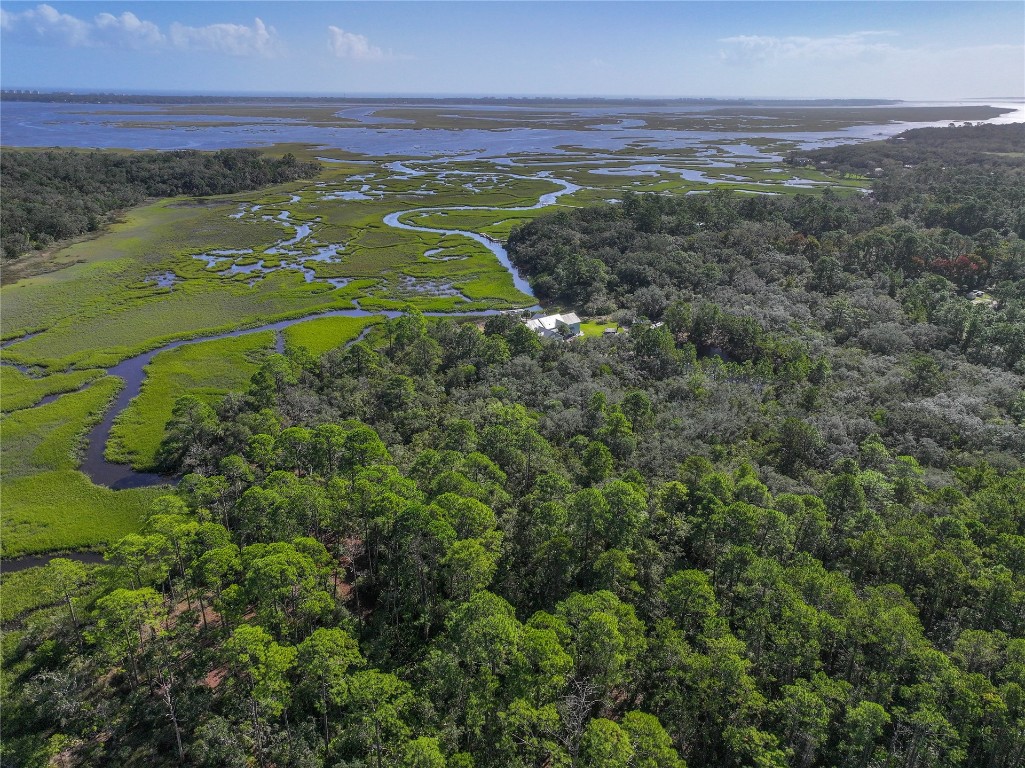 Mango Lane, Fernandina Beach, Florida image 7