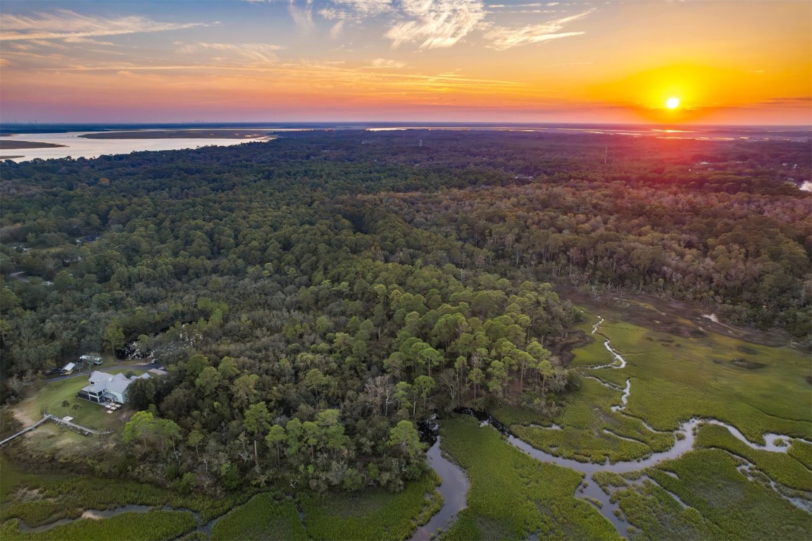 Mango Lane, Fernandina Beach, Florida image 16