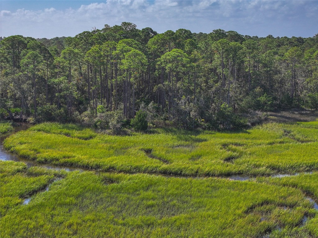 Mango Lane, Fernandina Beach, Florida image 8