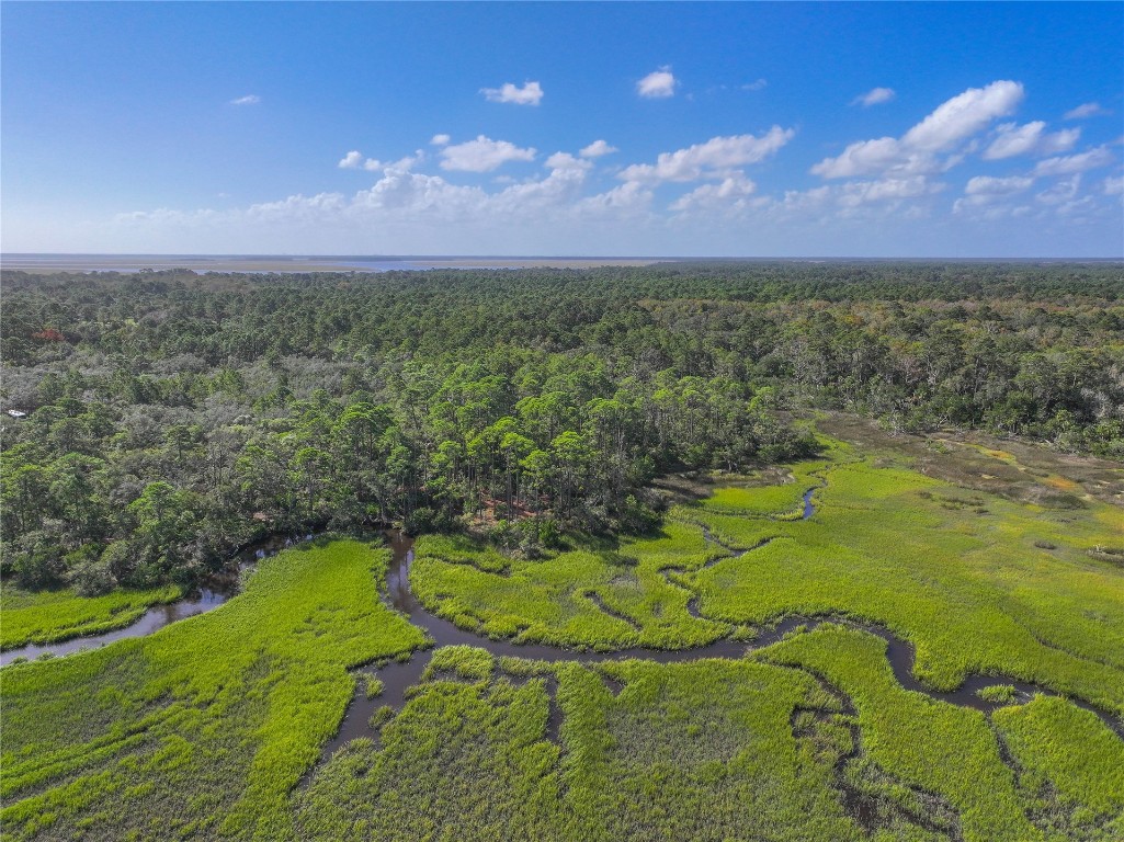 Mango Lane, Fernandina Beach, Florida image 9