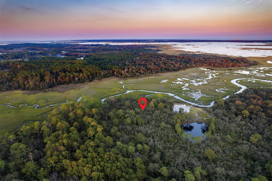 Mango Lane, Fernandina Beach, Florida image 3