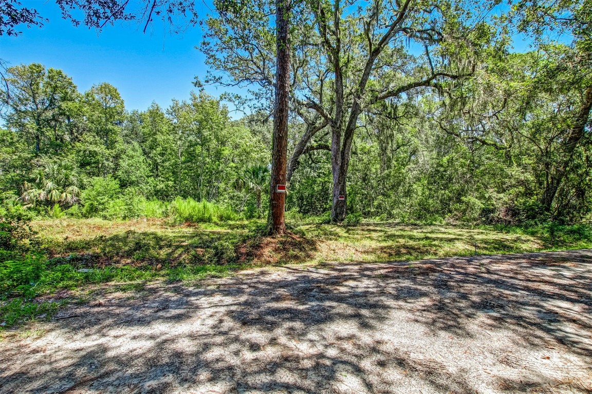 5406 Mary Avenue, Fernandina Beach, Florida image 5