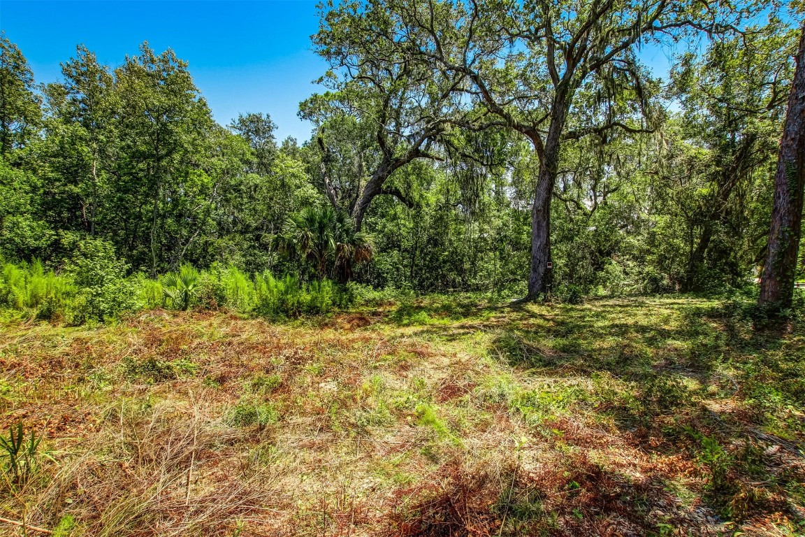 5406 Mary Avenue, Fernandina Beach, Florida image 10