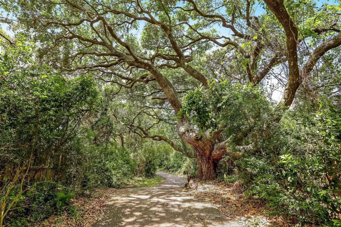 96061 Bottlebrush Lane, Fernandina Beach, Florida image 44