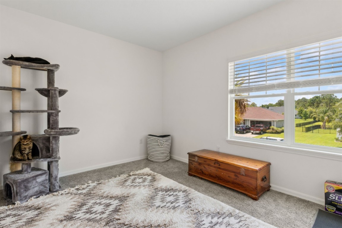 93321 Sandown Drive, Fernandina Beach, New Mexico image 35