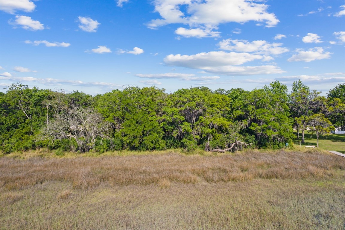 Barnwell Road, Fernandina Beach, Florida image 20
