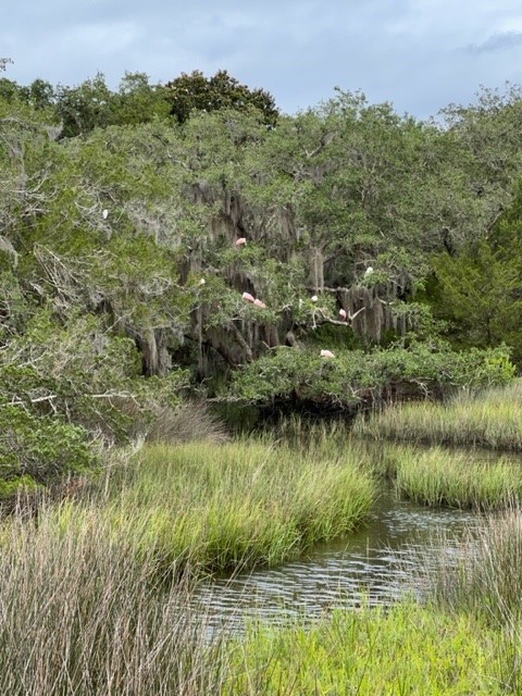 3051 Sea Marsh Road, Fernandina Beach, Florida image 48