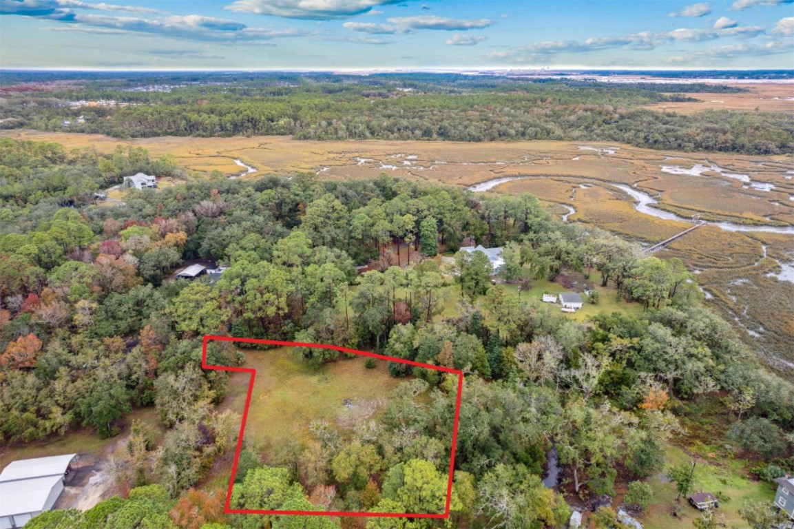 95654 Tyson Road, Fernandina Beach, New Mexico image 3