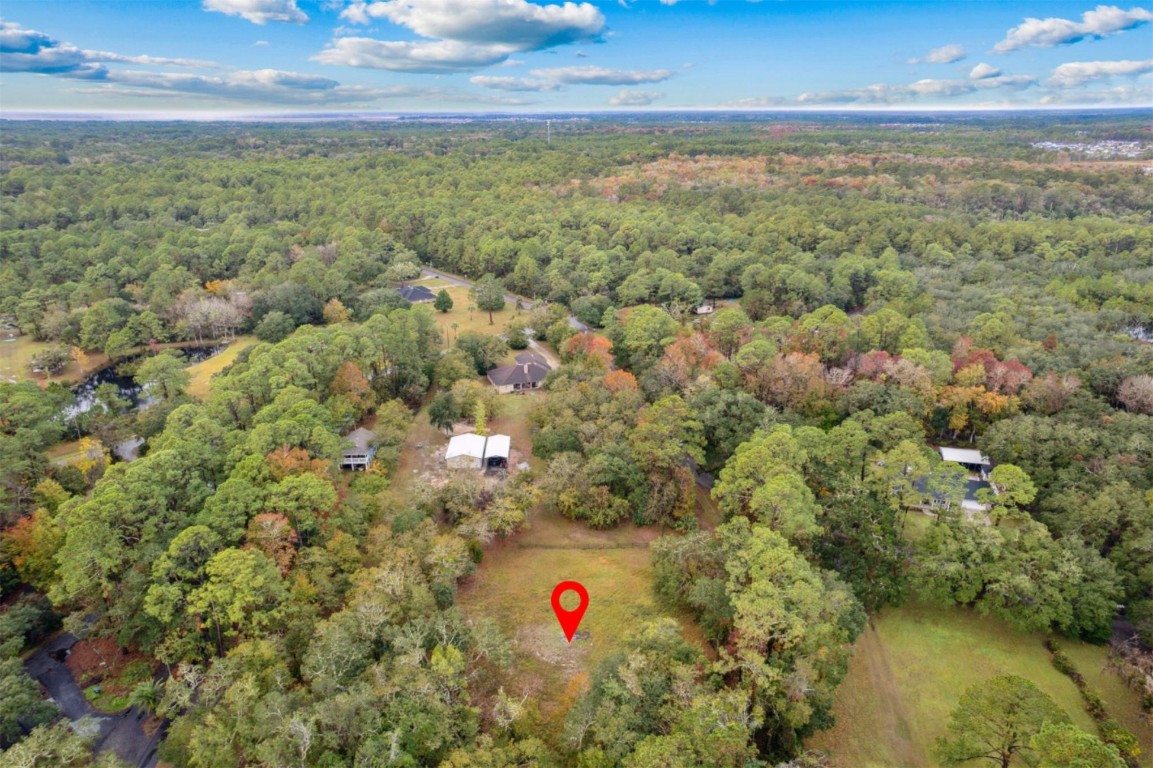 95654 Tyson Road, Fernandina Beach, New Mexico image 4