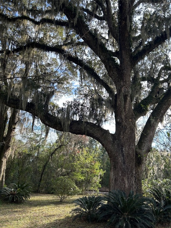 86014 Lee Plantation Drive, Yulee, Florida image 22