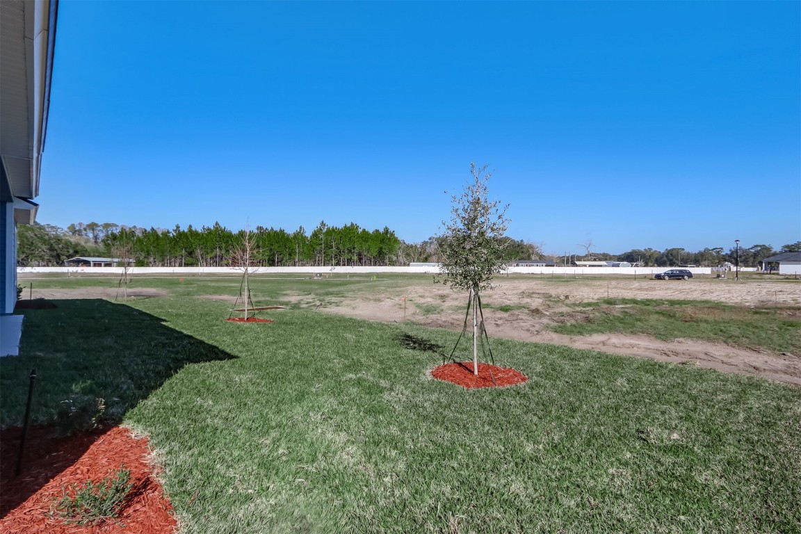 85345 Sandy Ridge Loop, Yulee, Florida image 44