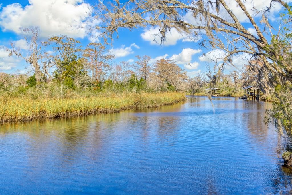 86363 Meadowfield Bluffs Road, Yulee, Florida image 48