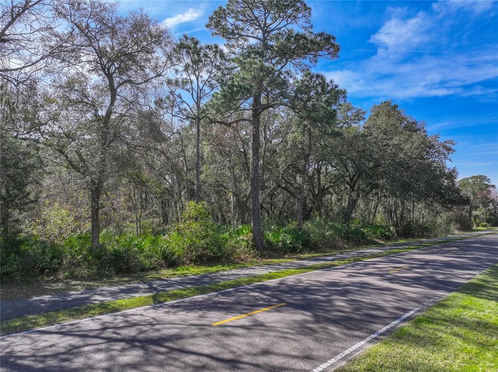 Lot 1 Simmons Road, Fernandina Beach, Florida image 5