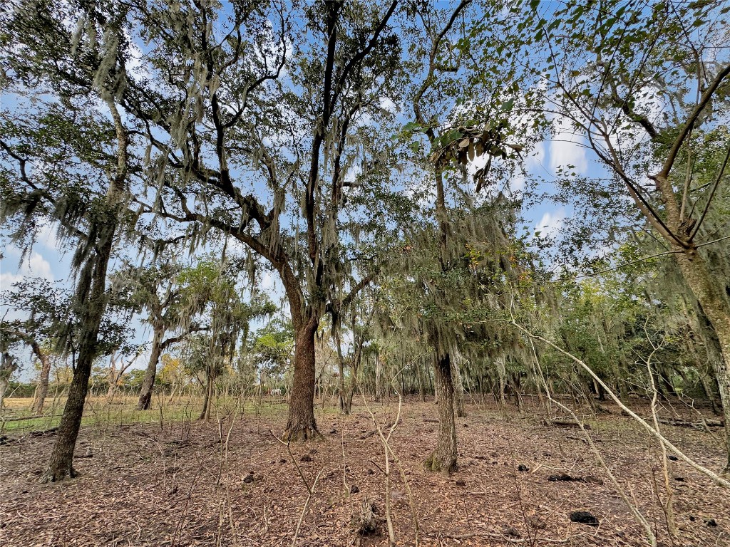 LOT 9 Alligator Creek Road, Fernandina Beach, Florida image 11