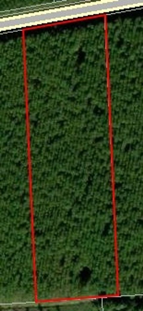 Vacant Land For Sale - 172619 Andrews Road<br/> Hilliard, FL 32046