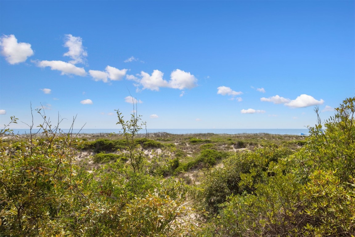 4776 Amelia Island Parkway #74, Fernandina Beach, New Mexico image 38