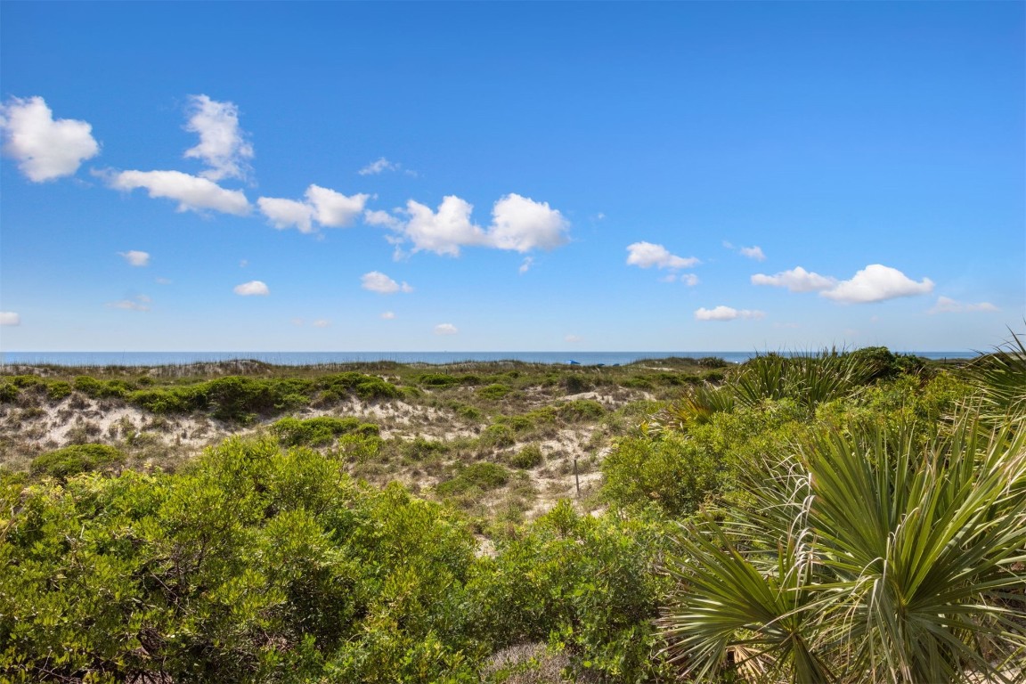 4776 Amelia Island Parkway #74, Fernandina Beach, New Mexico image 40