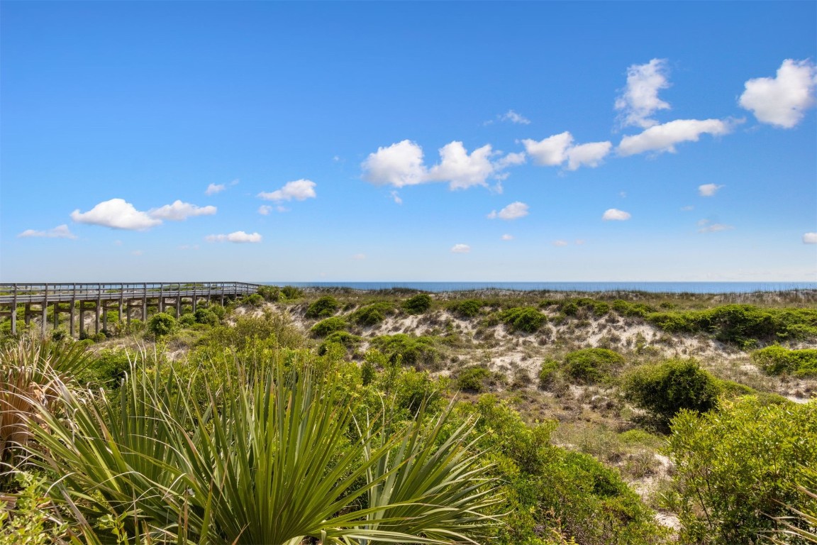 4776 Amelia Island Parkway #74, Fernandina Beach, New Mexico image 39