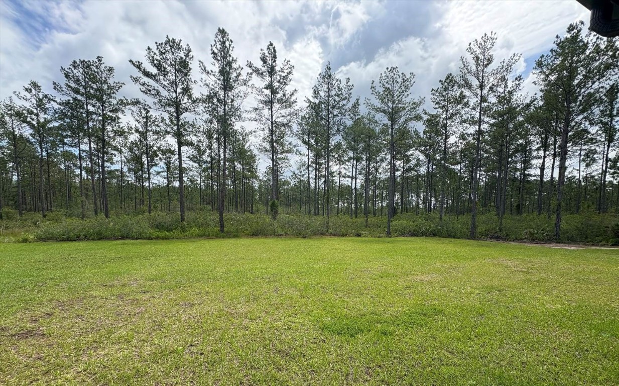 36258 Pitch Lane, Hilliard, Florida image 38