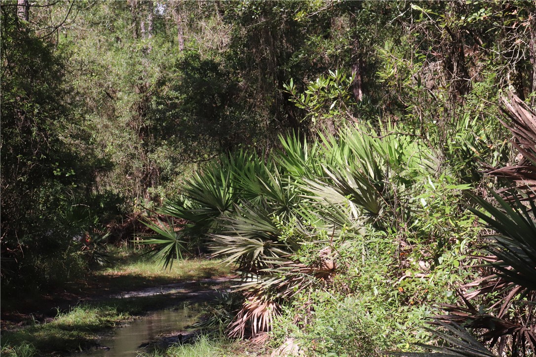 Off Mentoria Road, Yulee, Florida image 4