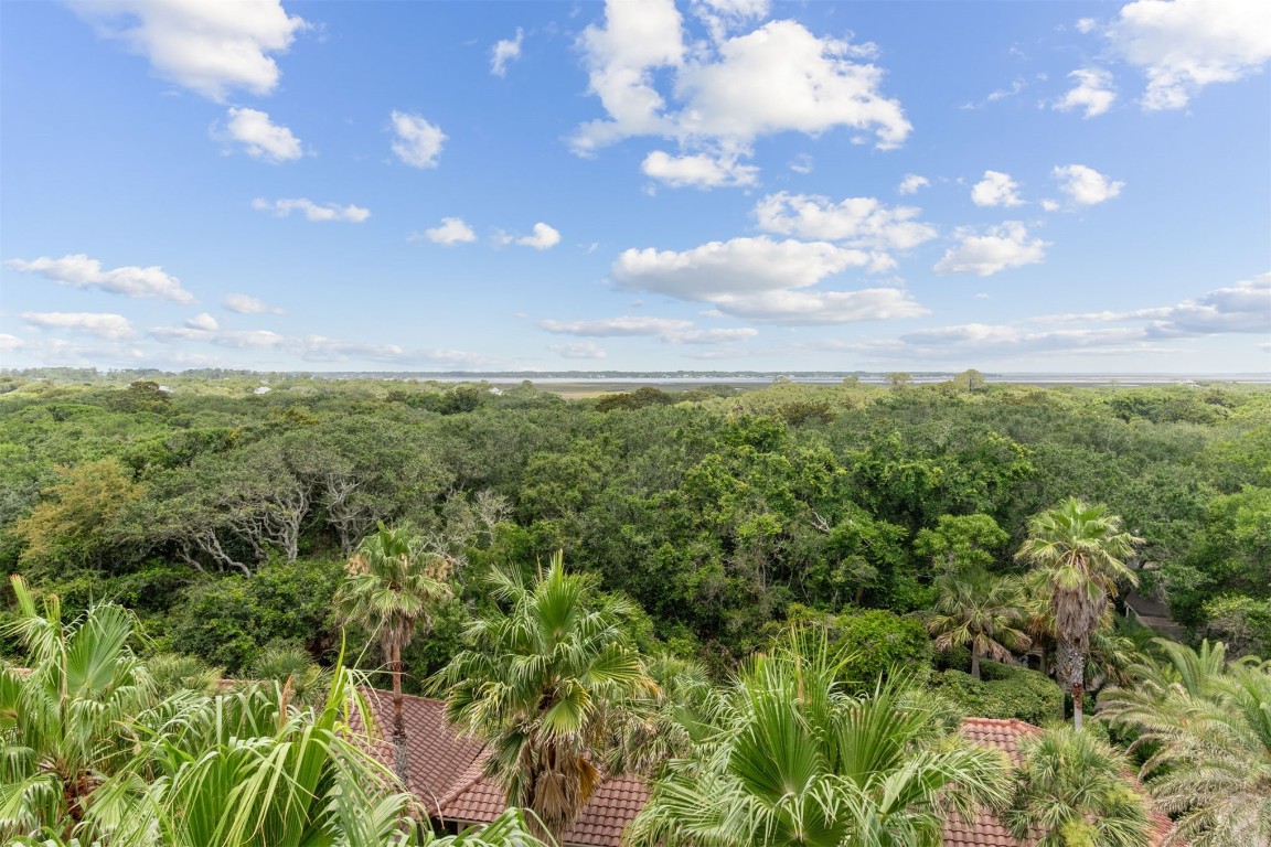 1556 Piper Dunes Place #1556, Amelia Island, New Mexico image 32