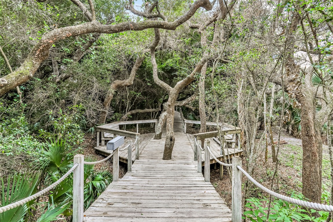 1123 Beach Walker Road #1123, Amelia Island, Florida image 28