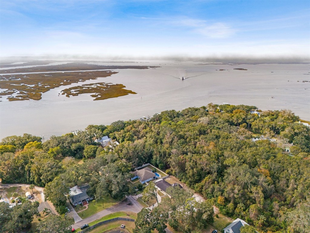 1231 Forest Drive Dr, Amelia Island, Florida image 45