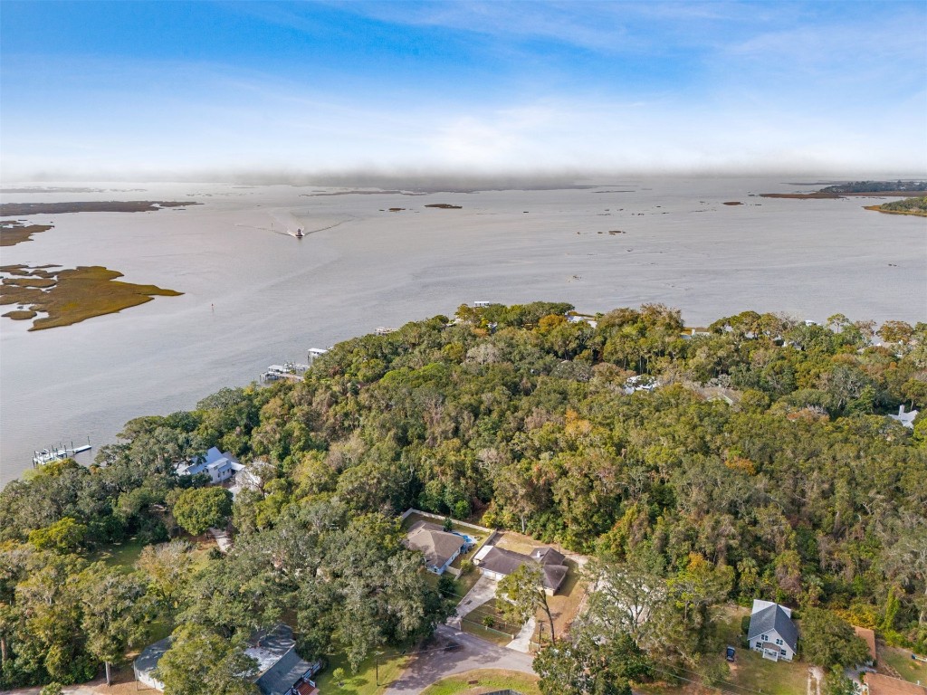 1231 Forest Drive Dr, Amelia Island, Florida image 43