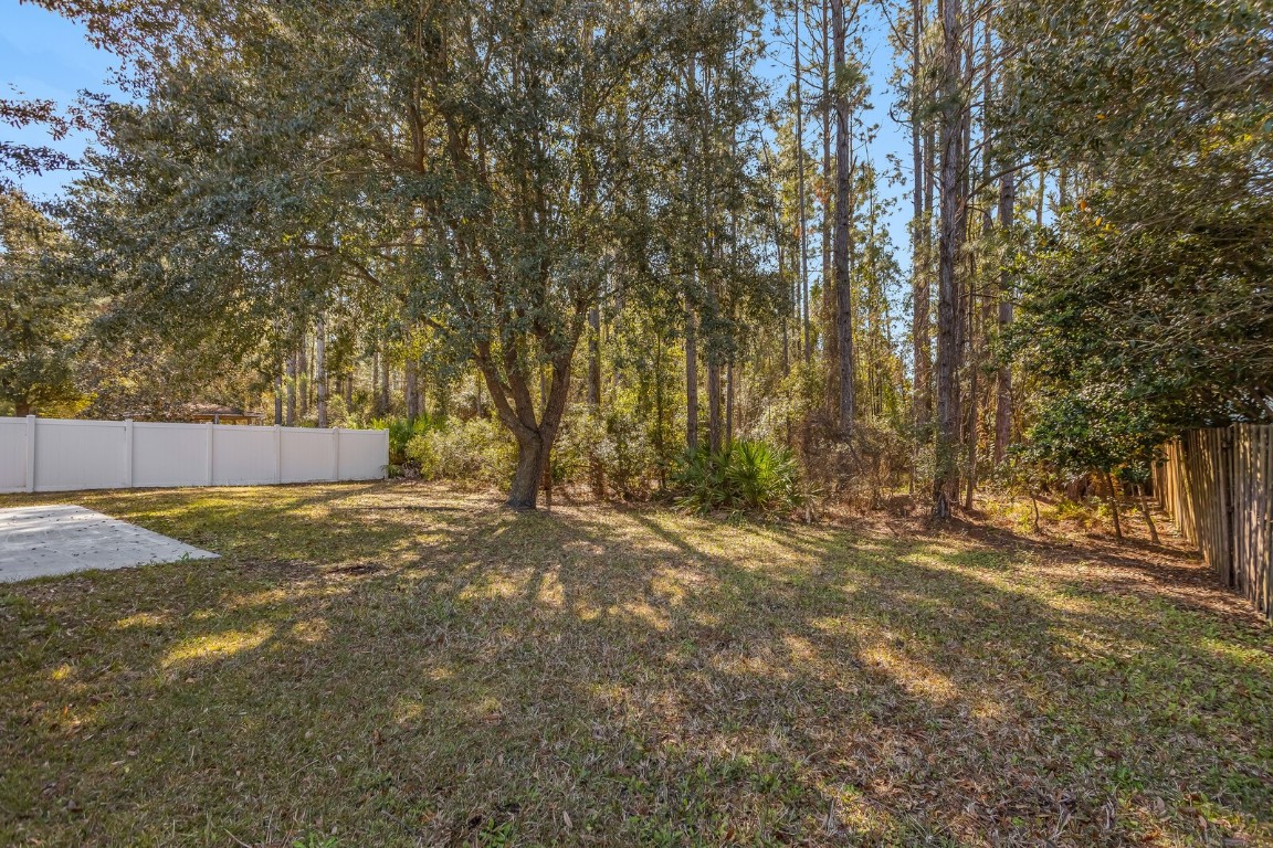 11690 Brian Lake Drive, Jacksonville, Florida image 15