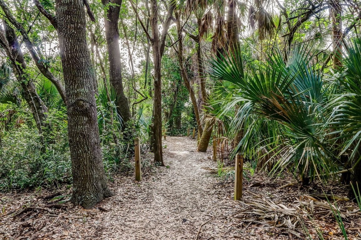 991 Ocean Bluff Drive, Fernandina Beach, Florida image 44