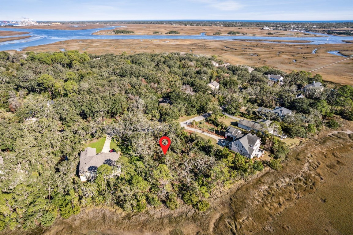 96309 Piney Island Drive, Fernandina Beach, Florida image 8