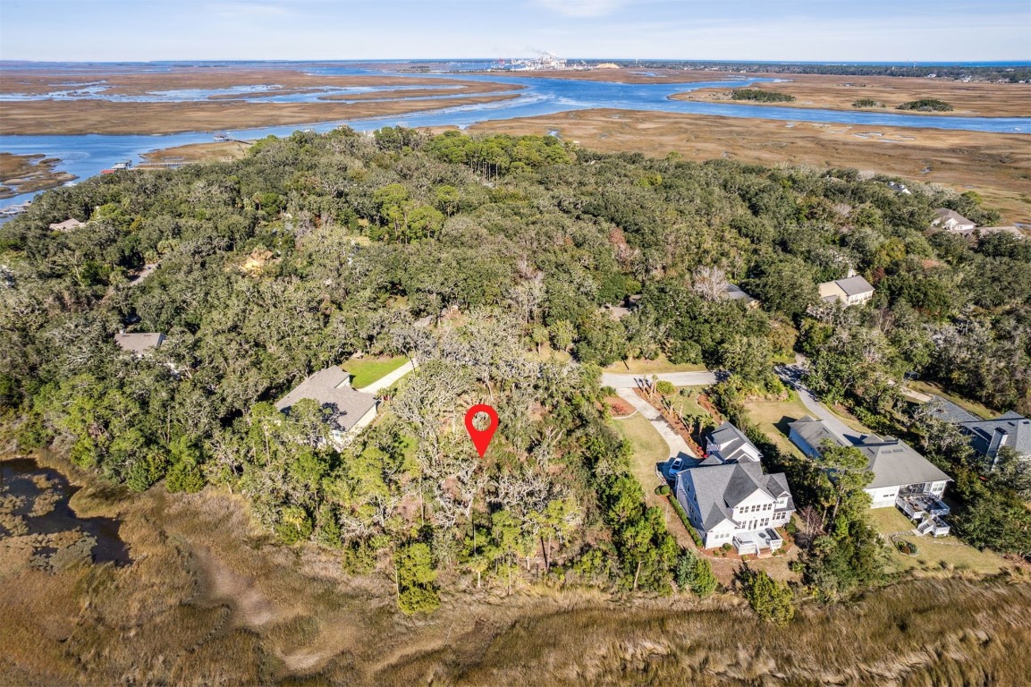 96309 Piney Island Drive, Fernandina Beach, Florida image 9