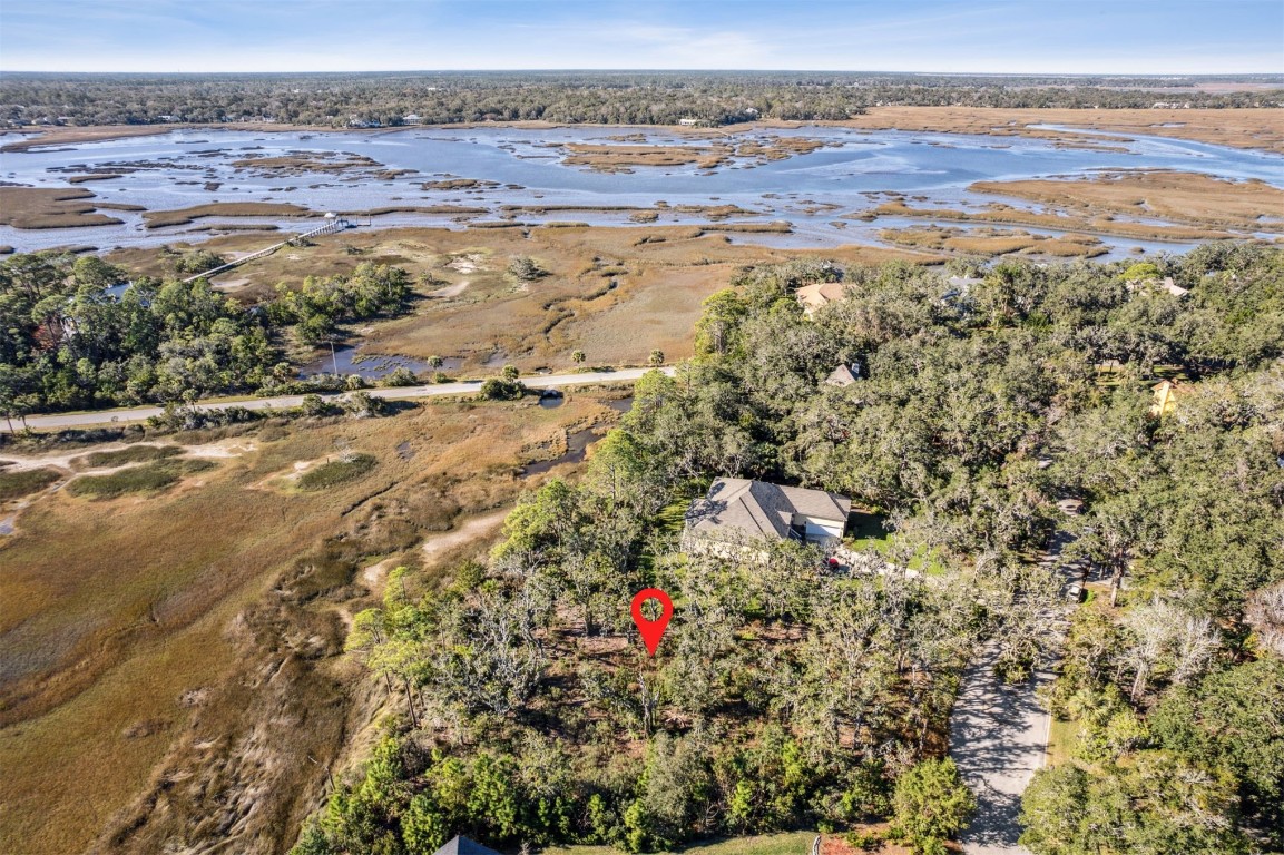 96309 Piney Island Drive, Fernandina Beach, Florida image 11