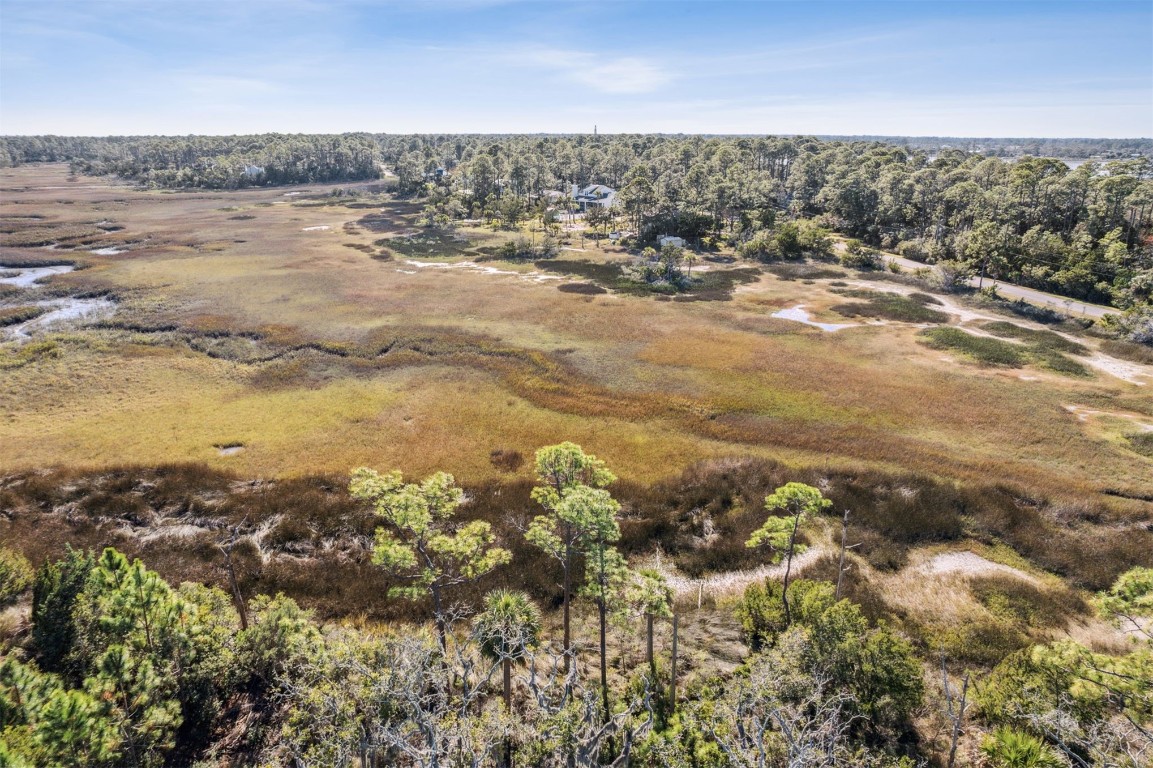 96309 Piney Island Drive, Fernandina Beach, Florida image 12