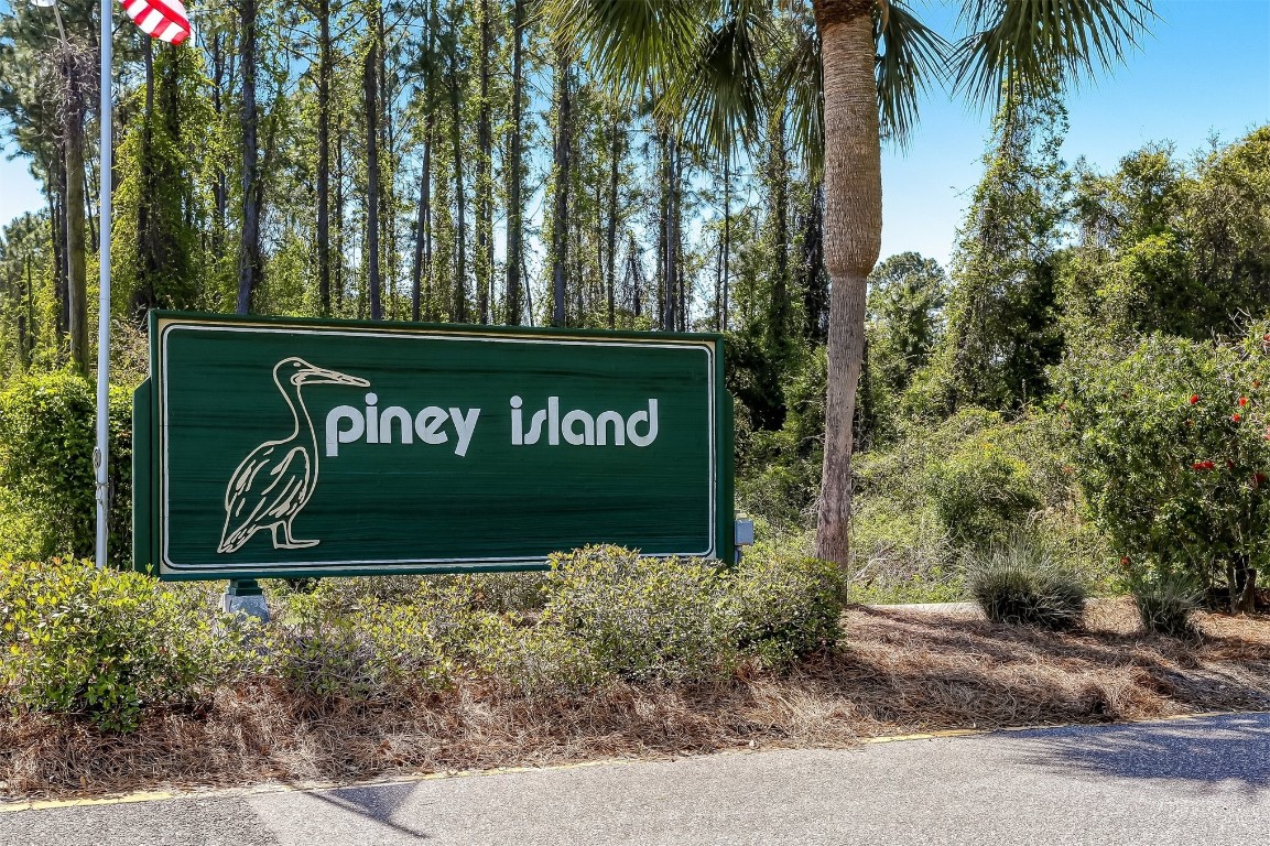 96309 Piney Island Drive, Fernandina Beach, Florida image 18