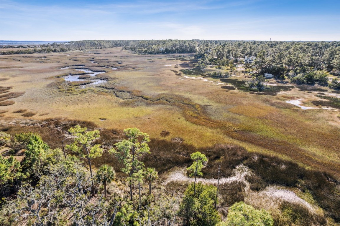 96309 Piney Island Drive, Fernandina Beach, Florida image 13