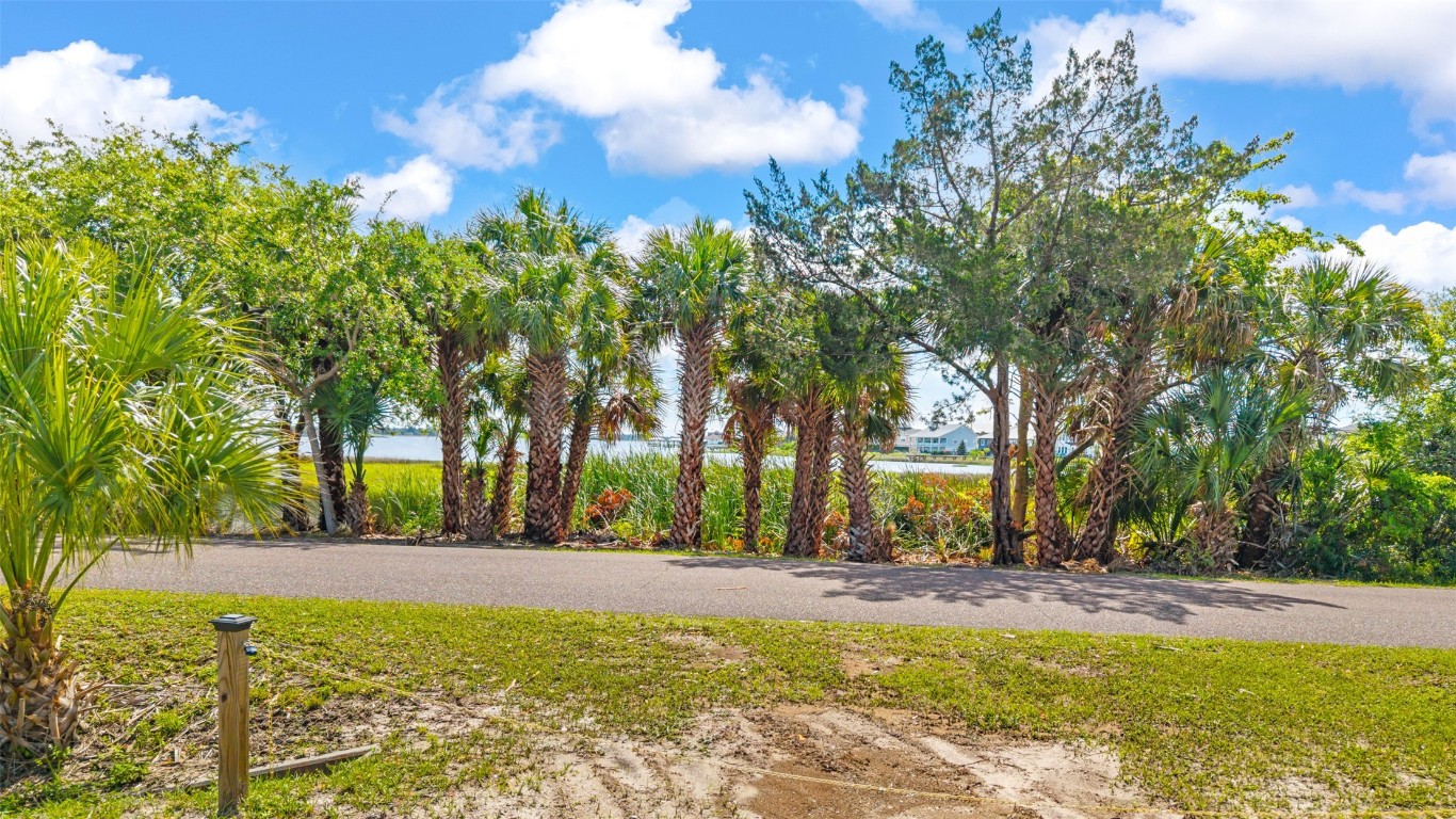 Milton Drive, Jacksonville, Florida image 9