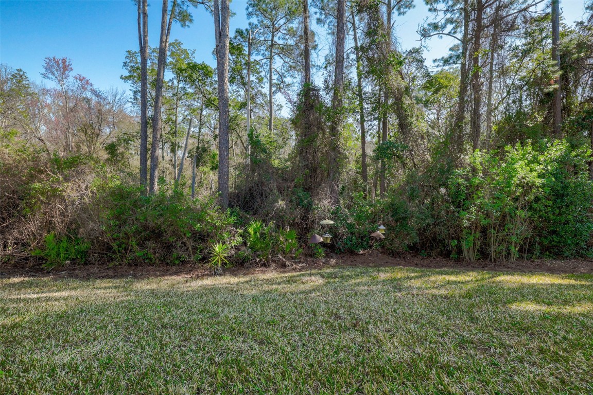 96156 Stoney Creek Parkway, Fernandina Beach, Florida image 8