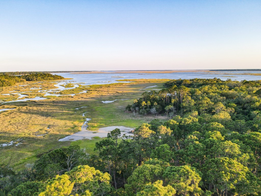 95 S Marsh Court, Fernandina Beach, Florida image 1