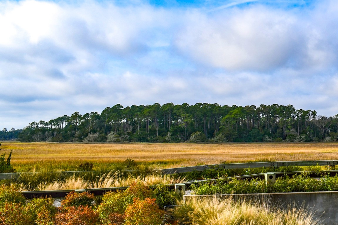 95 S Marsh Court, Fernandina Beach, Florida image 6