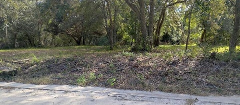 Vacant Land For Sale - LOT 5 Someruelus Street<br/> Fernandina Beach, FL 32034