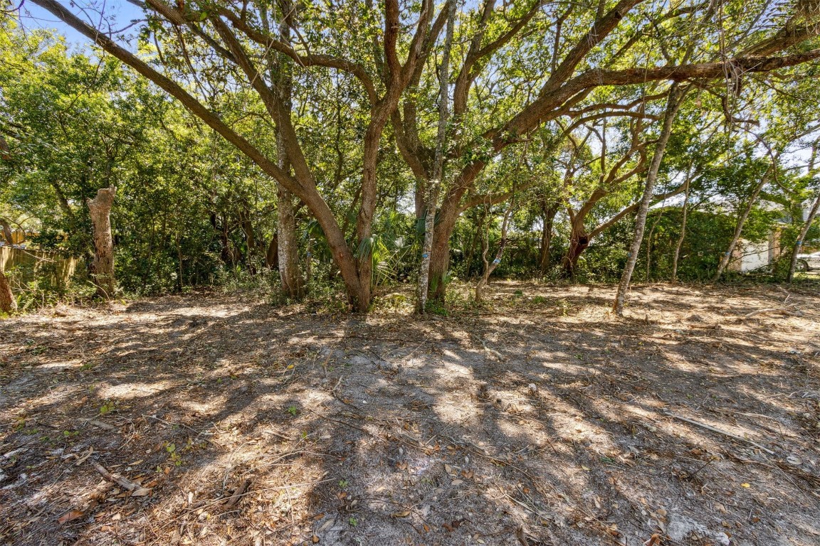 Gregor Mcgregor Boulevard, Fernandina Beach, New Mexico image 4