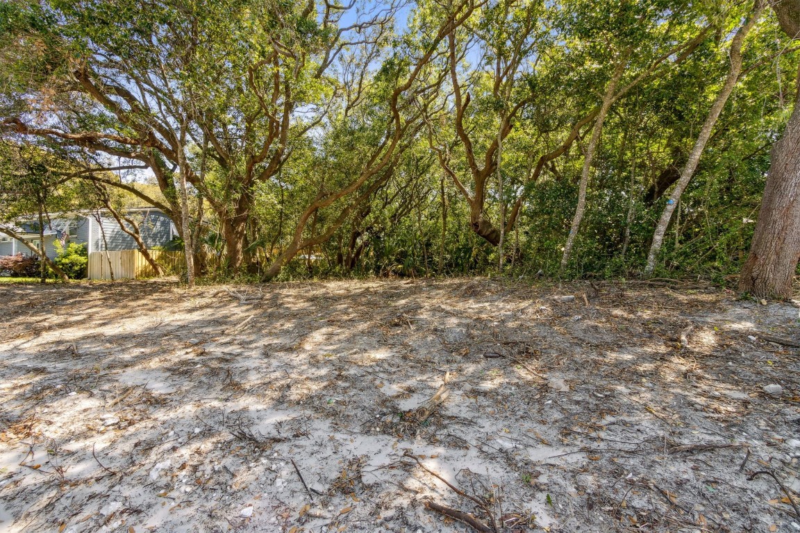 Gregor Mcgregor Boulevard, Fernandina Beach, New Mexico image 10
